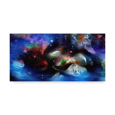 RUNA 'Cosmic 6' Canvas Art,24x47